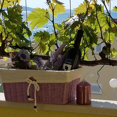 Apartmán Anita - Punta Skala *