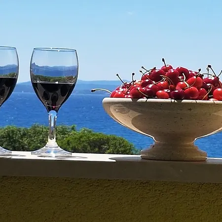 Apartmán Anita - Punta Skala