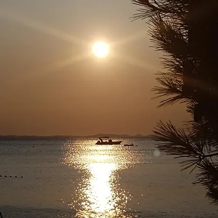 Apartmán Anita - Punta Skala *