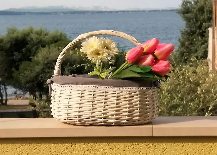 Anita - Punta Skala Appartement *