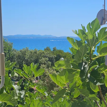 Anita - Punta Skala * Petrčane