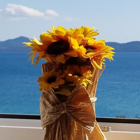 Anita - Punta Skala Apartamento Petrčane