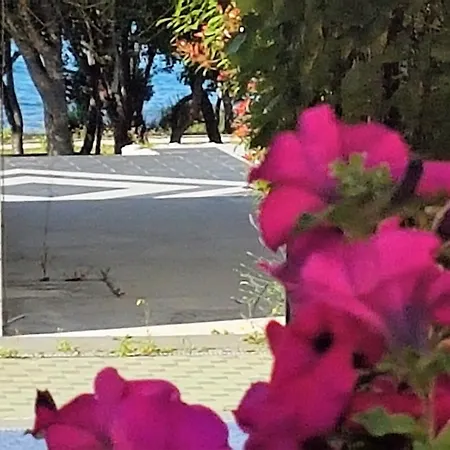 Apartment Anita - Punta Skala *
