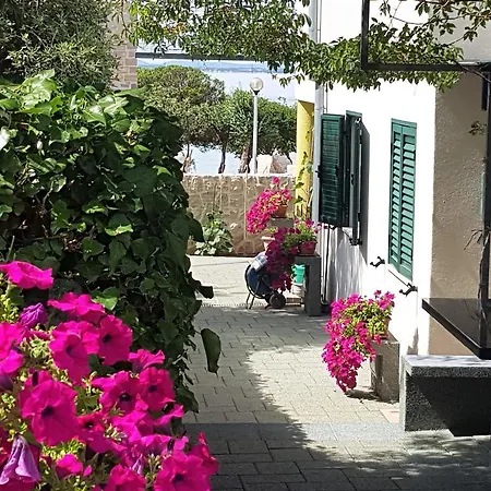 Anita - Punta Skala Lejlighed *