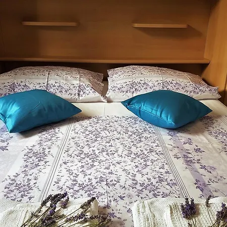 Anita - Punta Skala Apartman *