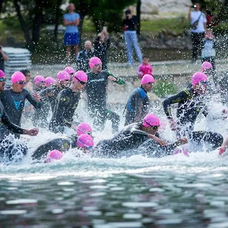 Anita - Punta Skala 公寓 *