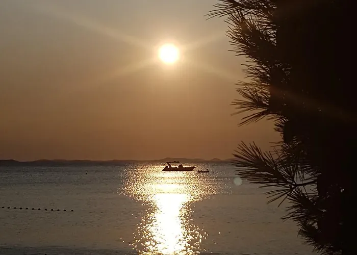 Apartment Anita - Punta Skala *